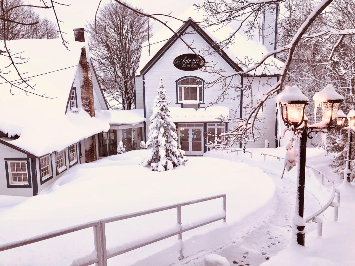 Auberge Sous les Arbres Gaspé Exterior foto